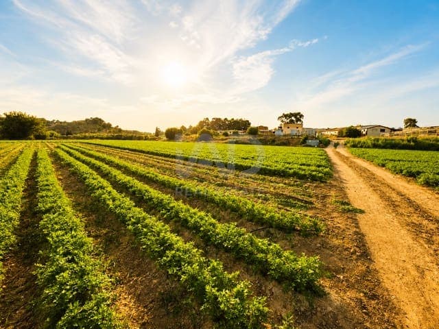 Servicio de mantenimiento de fincas de SIMAR